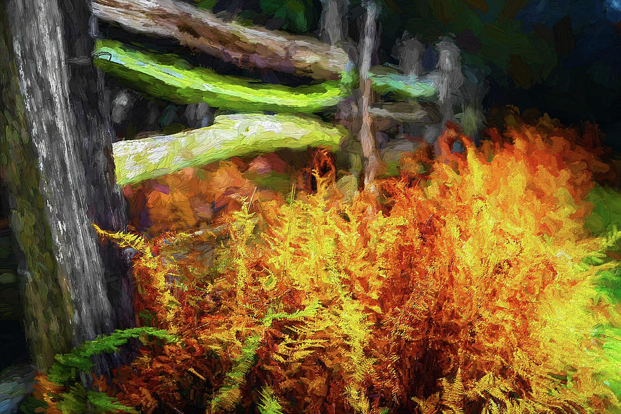 The Ferns of Autumn ap Painting by Dan Carmichael