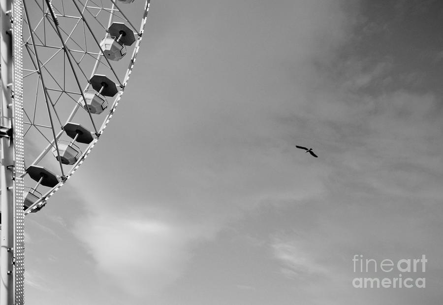 The ferris wheel and the seagull - Black and white Photograph by Yavor Mihaylov