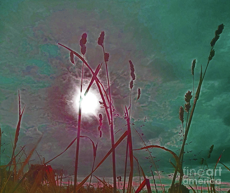 The Field Aqua Digital Art by Tracey Lee Cassin