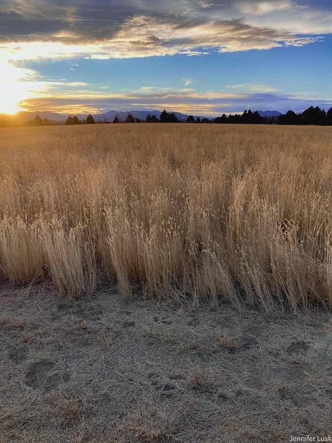 The Field at Dusk Photograph by Jennifer Lusk - Fine Art America