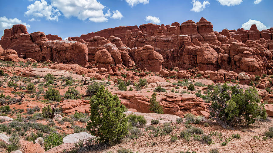 The Fiery Furnace Photograph by Anthony Sacco