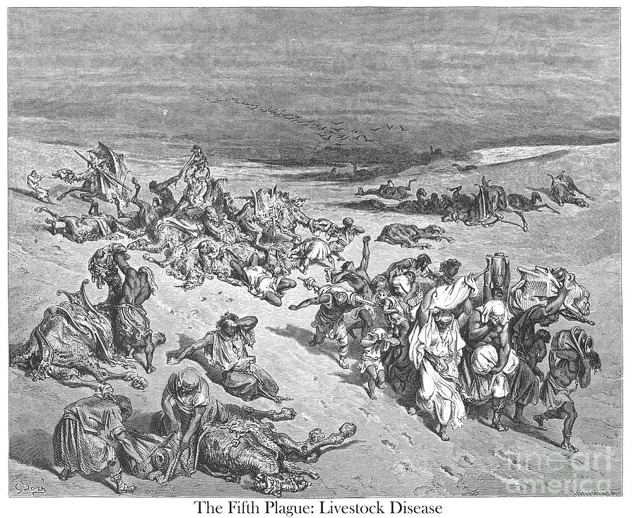 The Fifth Plague Livestock Disease by Gustave Dore v1 Drawing by Historic illustrations