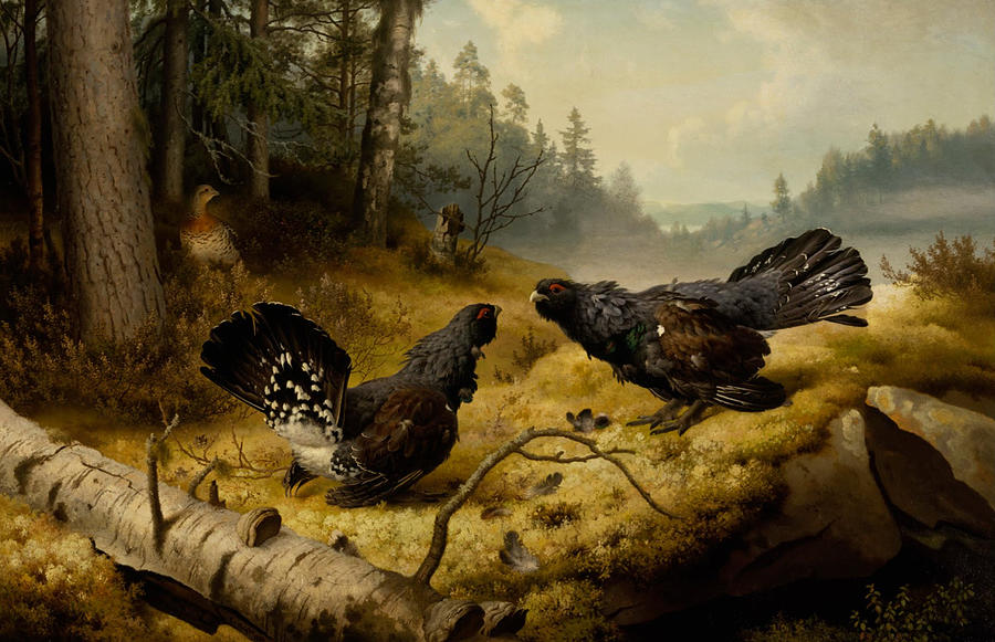 The Fighting Capercaillies, 1886 Painting by Ferdinand von Wright
