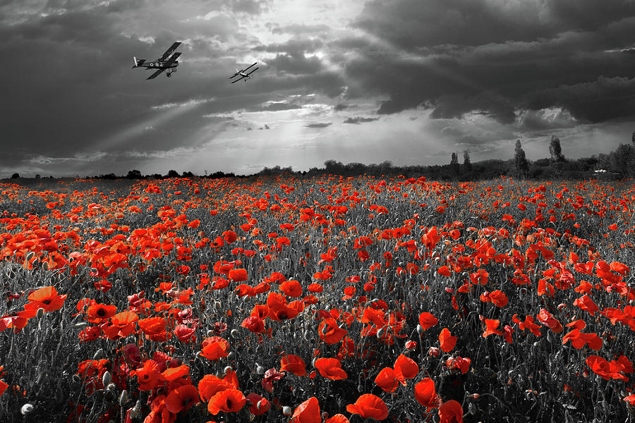 Sunset Photograph - The final sortie aircraft over field of poppies WWI version by Gary Eason