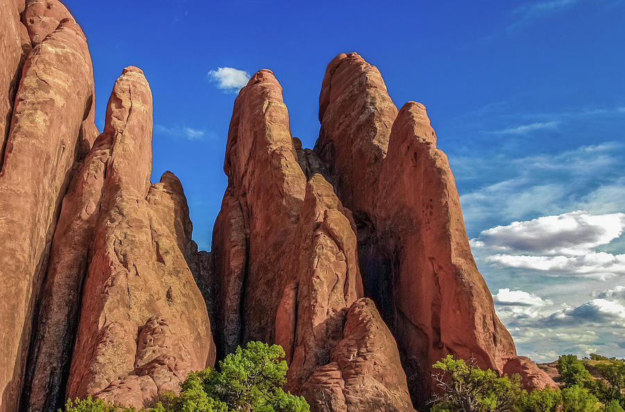 The Fins at Arches NP Photograph by Tommy Farnsworth
