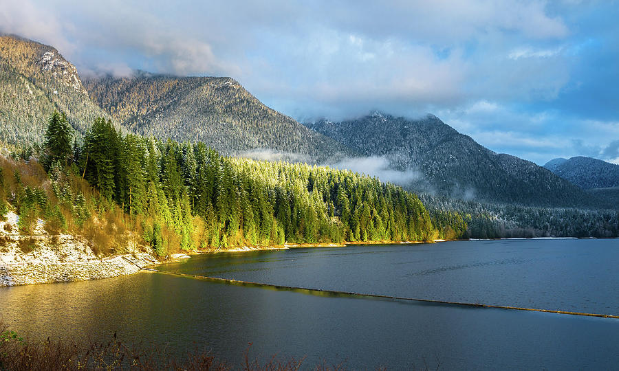 The First Frost on Capilano Lake Photograph by Alex Lyubar
