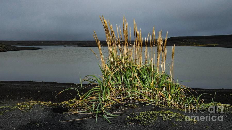 The first ray of sun Photograph by Anthony LEBOURLIER Pixels