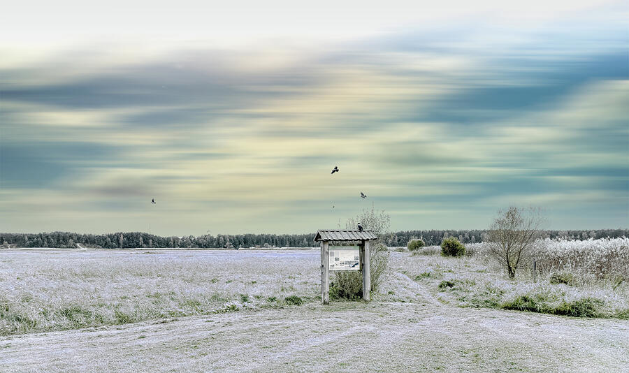 The First Snow In October Latvia  Photograph by Aleksandrs Drozdovs