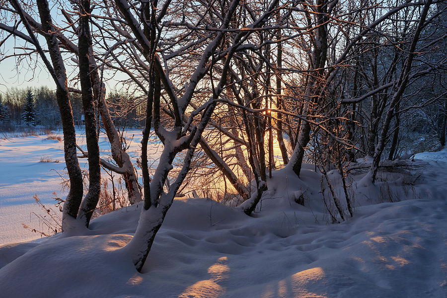 The first sun of the year. Kalimeenjoki Haukipudas Photograph by Jouko Lehto
