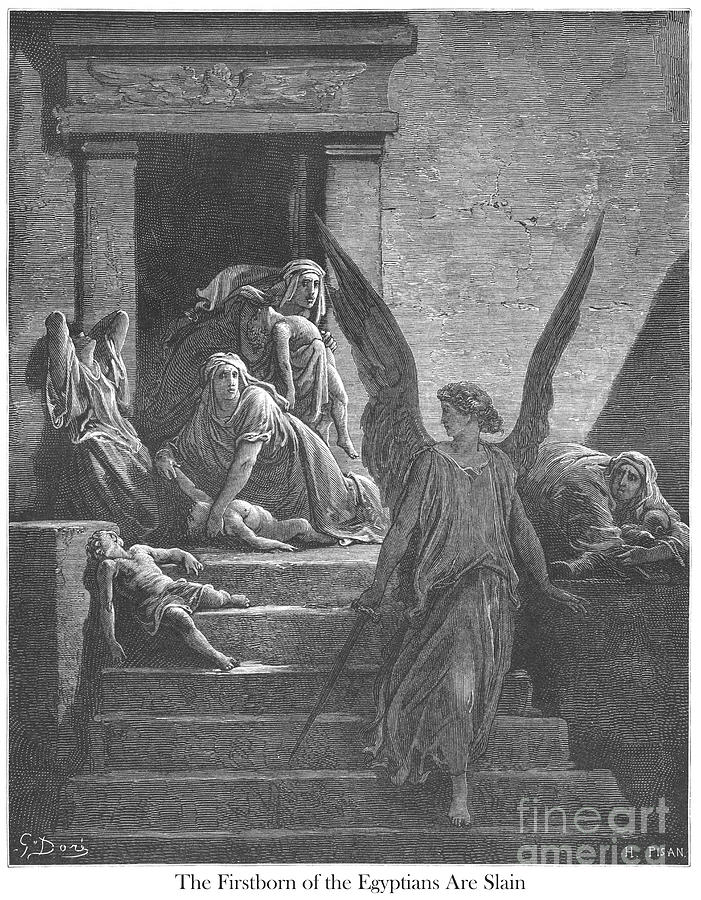 The Firstborn of the Egyptians are Slain by Gustave Dore v1 Drawing by Botany