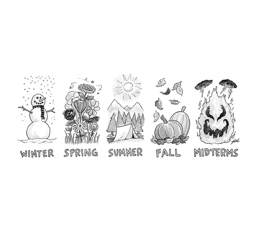 The Five Seasons Drawing by Tom Toro
