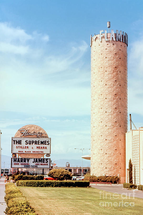 The Flamingo Casino in the Afternoon 1960s Photograph by Aloha Art