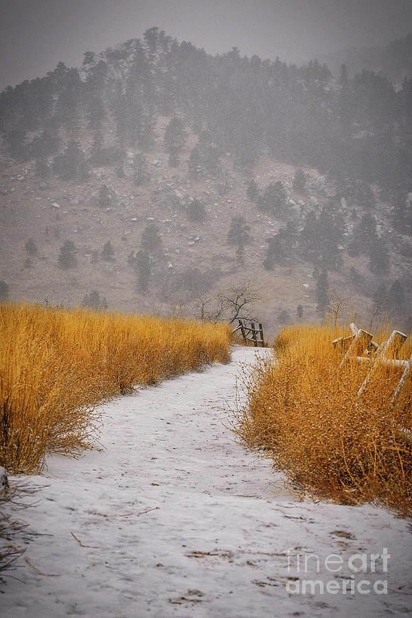 The Flatirons at Chautauqua Park Boulder Colorado  Photograph by Abigail Diane Photography