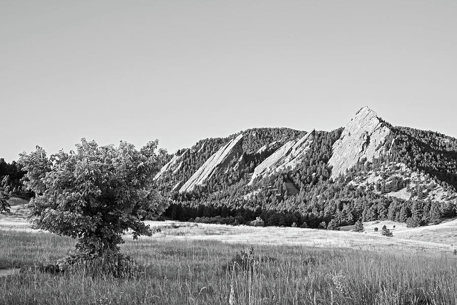 The Flatirons Boulder Colorado from Chautauqua Park Tree Black and ...