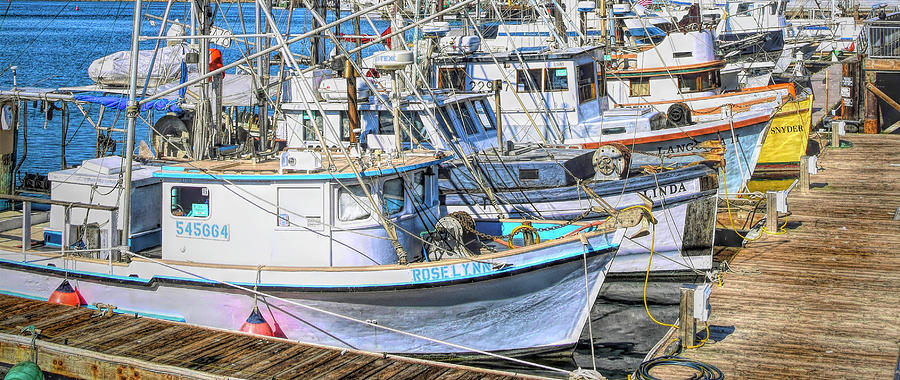 The Fleet At Morro Bay Detail  Photograph by Floyd Snyder