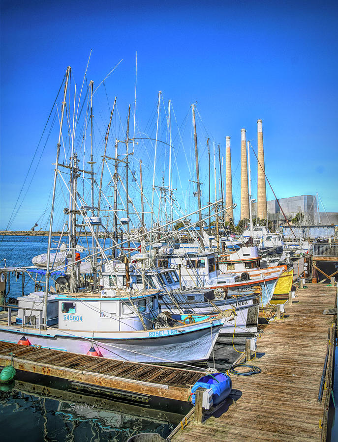 The Fleet At Morro Bay Photograph by Floyd Snyder