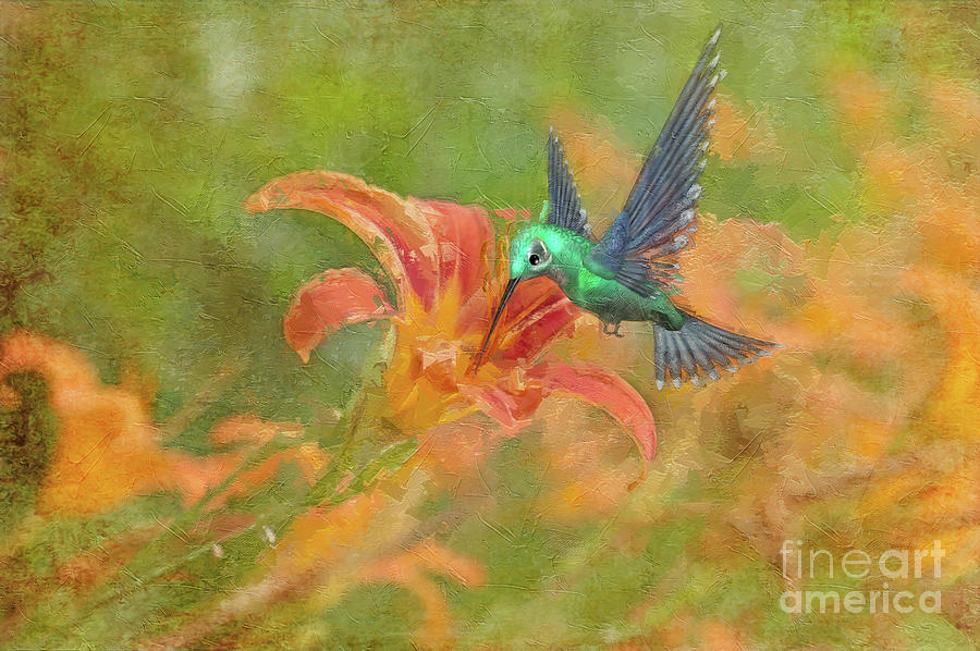 The flight of the hummingbird Photograph by Rita Di Lalla - Fine Art ...