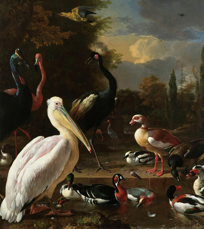 Pelican Painting - The Floating Feather, A Pelican and other Birds near a Pool by Melchior dHondecoeter