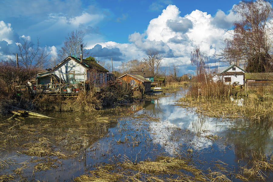 The flood in the Finn Slough - old fishermans village Photograph by Alex Lyubar
