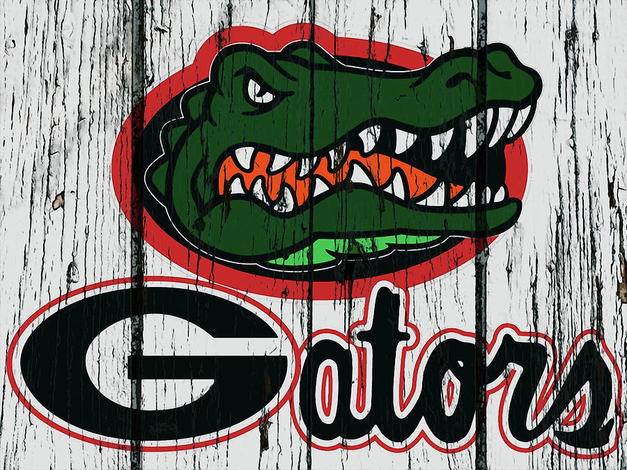 The Florida Gators 1a Mixed Media by Brian Reaves