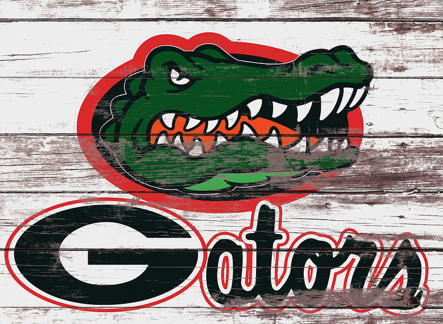 The Florida Gators  Mixed Media by Brian Reaves