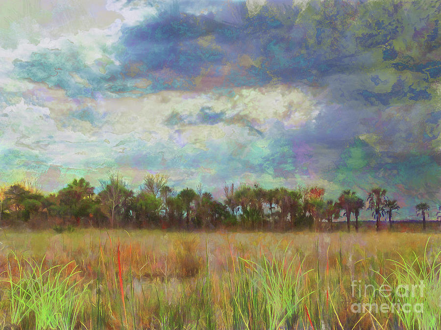 The Florida Prairie Photograph by Judi Bagwell