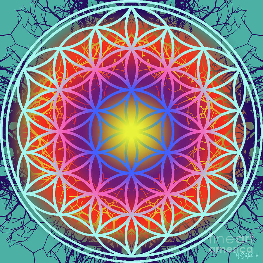 Flower Digital Art - Sacred Geometry, No. 3 by Walter Neal