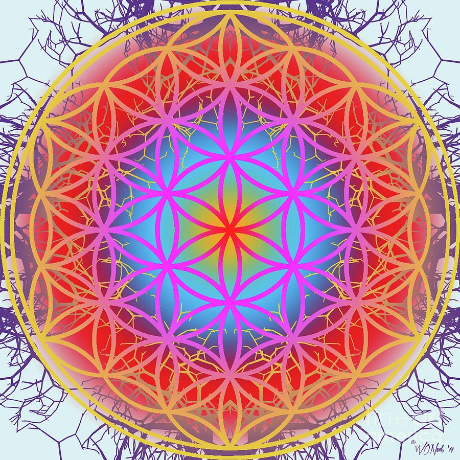 Flower Digital Art - Sacred Geometry, No. 7 by Walter Neal Flower Digital Art - Sacred Geometry, No. 7 by Walter Neal