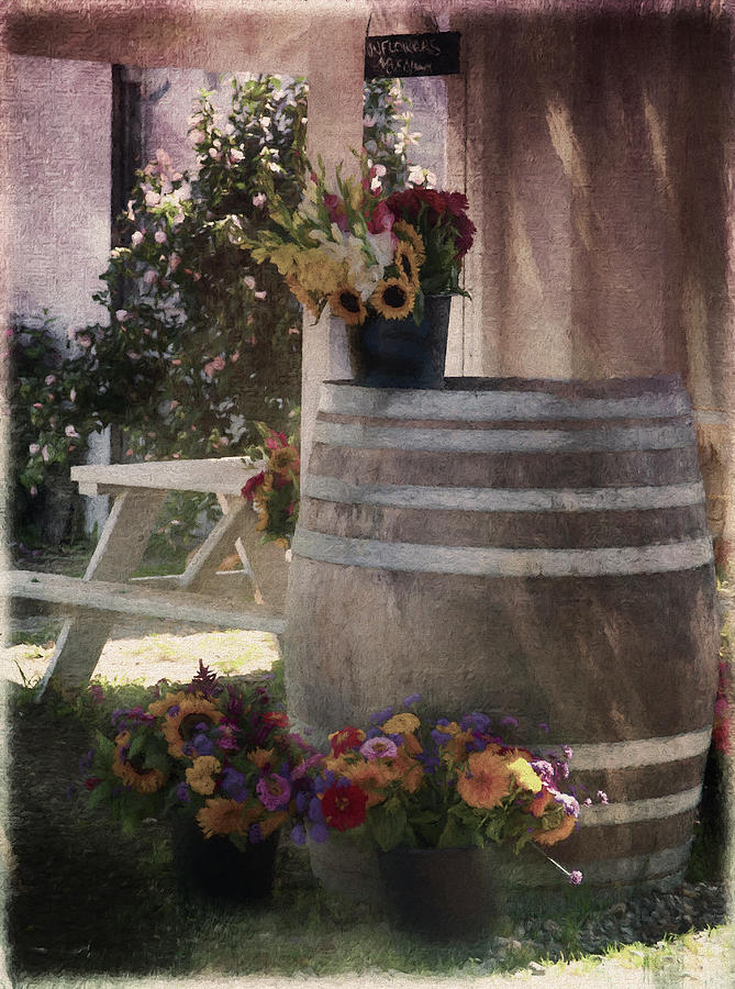 The Flower Barrel Photograph
