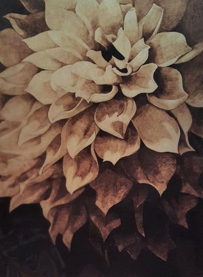 The Flower Petals Pyrography On Paper Wood Burning Pyrography By Marsha