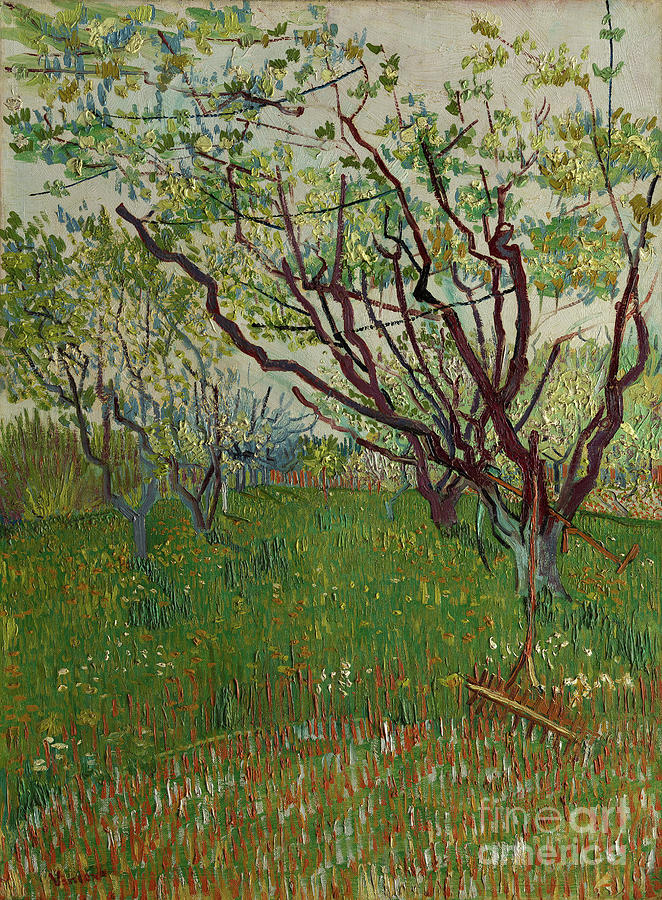 The Flowering Orchard by Vincent Van Gogh                                                         Painting by Sad Hill - Bizarre Los Angeles Archive