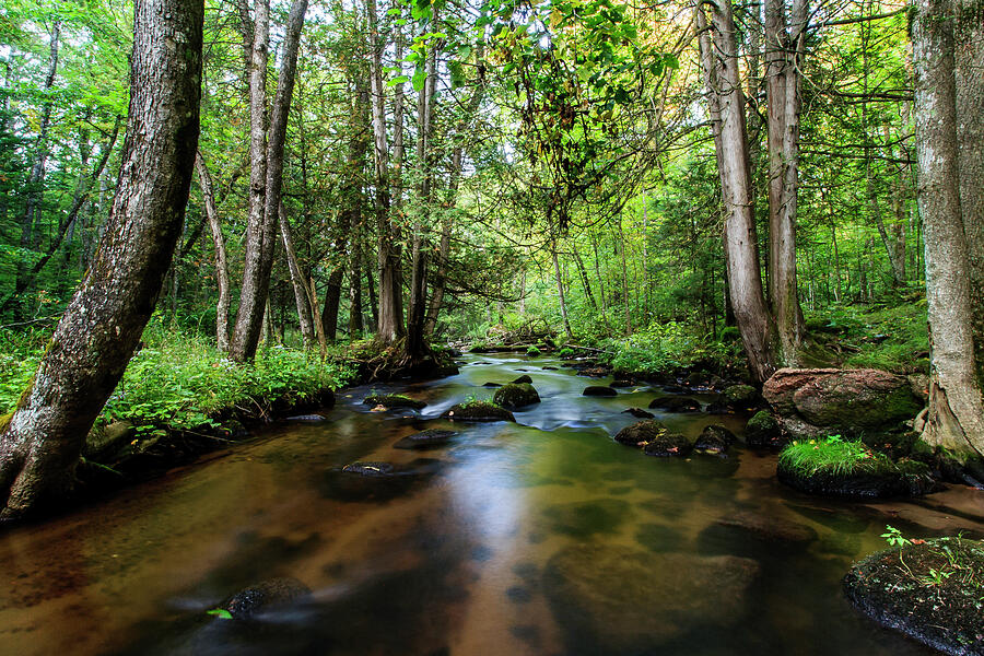 The Flume Creek a Pleasant Place Photograph by Neal Nealis