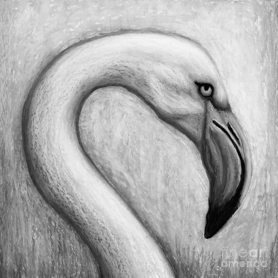The Fly Flamingo. Black and White. Drawing by Amy E Fraser
