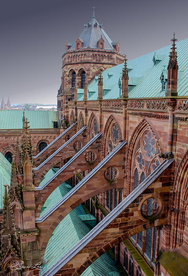 The Flying Buttresses of the Strasbourg Cathedral Photograph by Geno