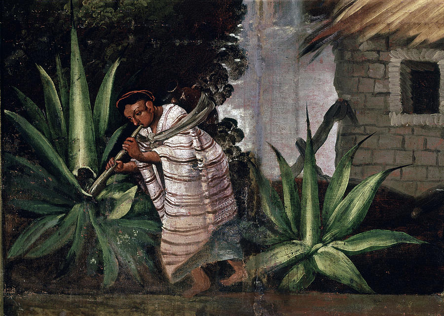 The Flying mast. Mexican folding screen. Painting by Album The Flying mast. Mexican folding screen. Painting by Album
