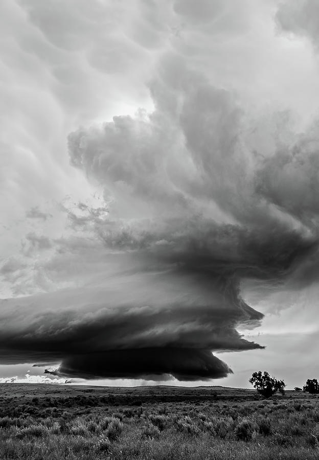 The Flying Pagoda Photograph by Dan Ross - Fine Art America