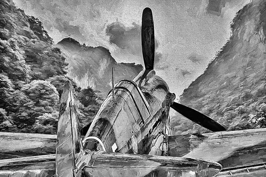The Flying Tigers P-40 Warhawk Black and White Digital Art by JC Findley