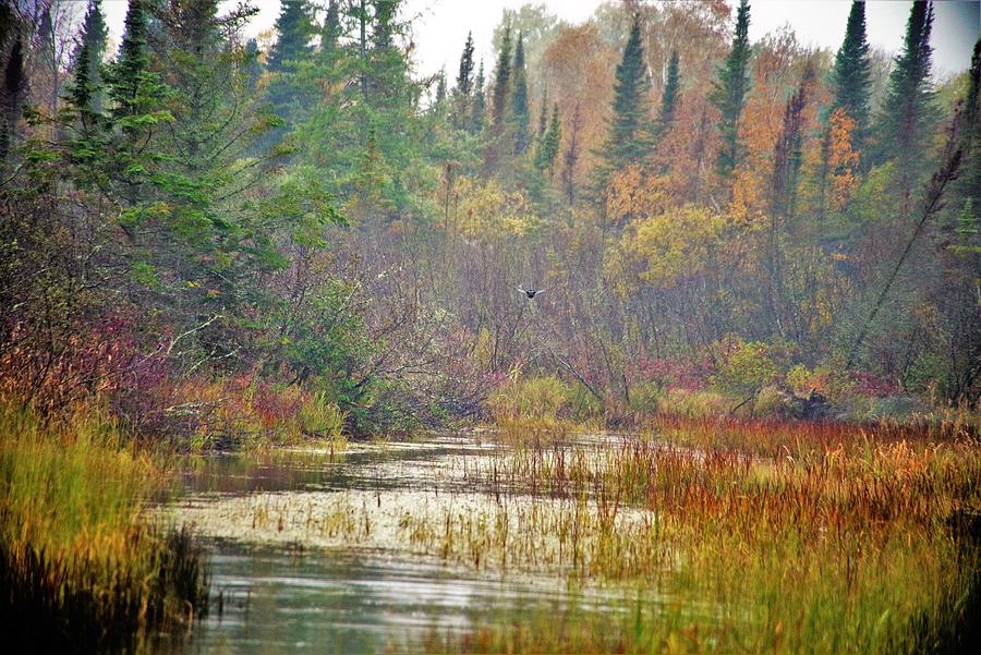 The Flyway Photograph by IMAGES from BRUCE SYMINGTON | Pixels