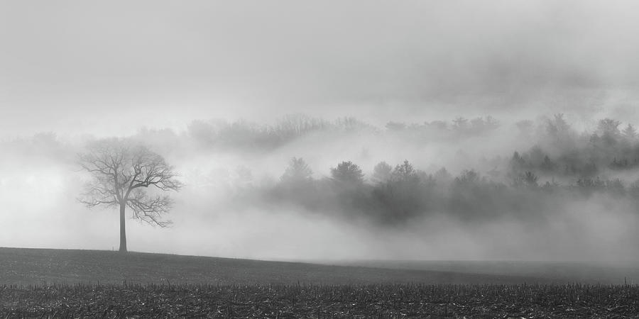 The Fog Always Lifts in Black and White Photograph by Lori Deiter