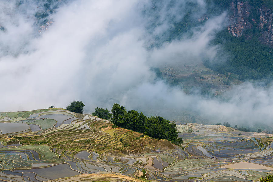The fog sea and the terraced fields Photograph by Zhouyousifang
