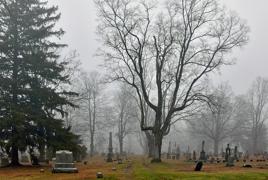 The Foggy Graveyard  Photograph by Monika Salvan