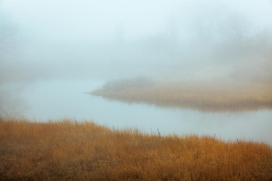 The Foggy Marsh Photograph by Robert Mintzes
