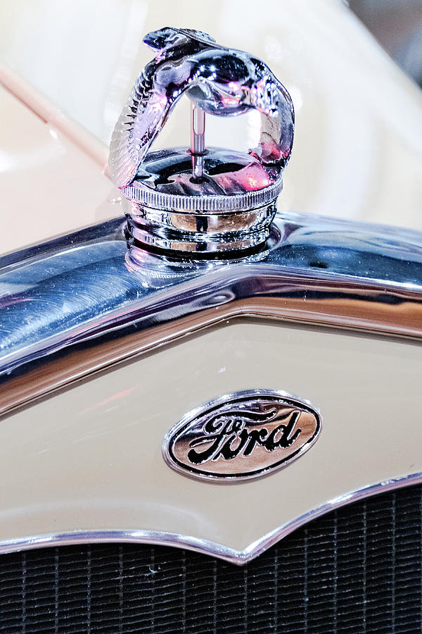 The Ford Bird Photograph by Stewart Helberg