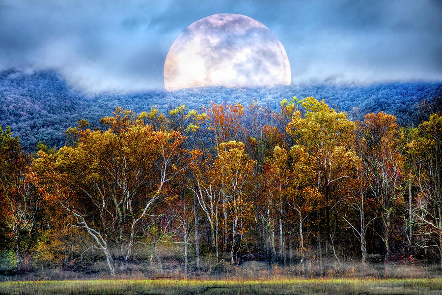 The Forest Awaits Under the Fall Moon  Photograph by Debra and Dave Vanderlaan