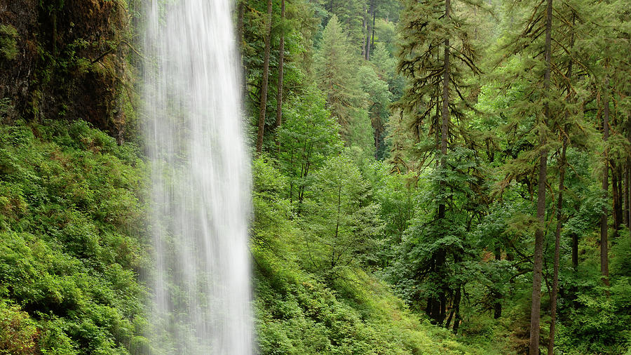 The Forest Beyond the Falls -- North Falls in Silver Falls State Park, Oregon Photograph by Darin Volpe