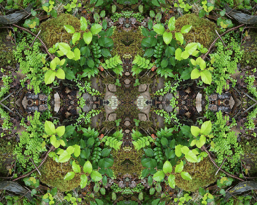 The Forest Floorist #1 Double Mirrored and Horizontally Flipped Photograph by Ben Upham III