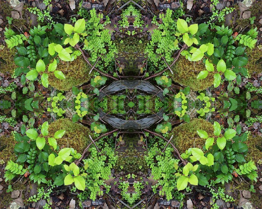 The Forest Floorist #2 Double Mirrored Horizontally Flipped Photograph by Ben Upham III