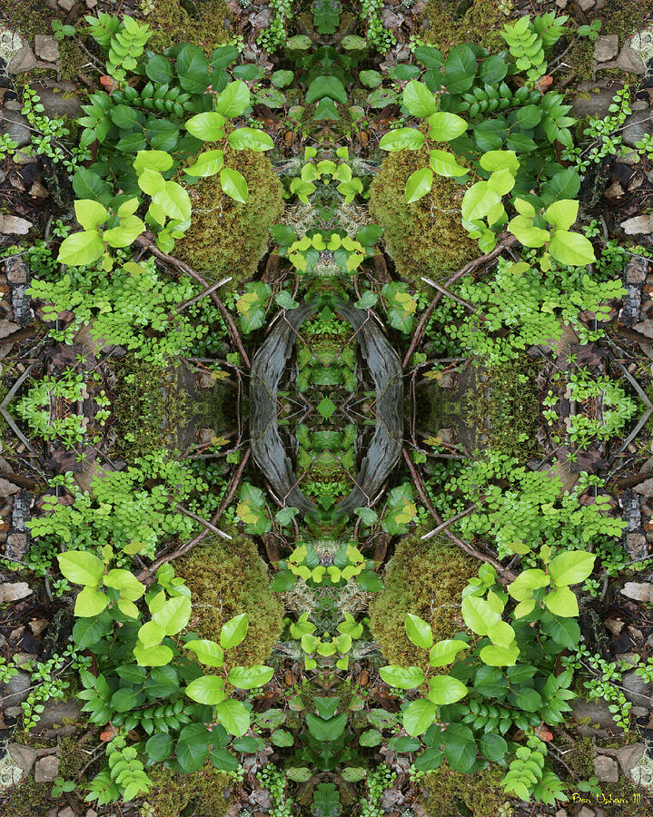 The Forest Floorist #2 Double Mirrored Vertically Flipped Photograph by Ben Upham III