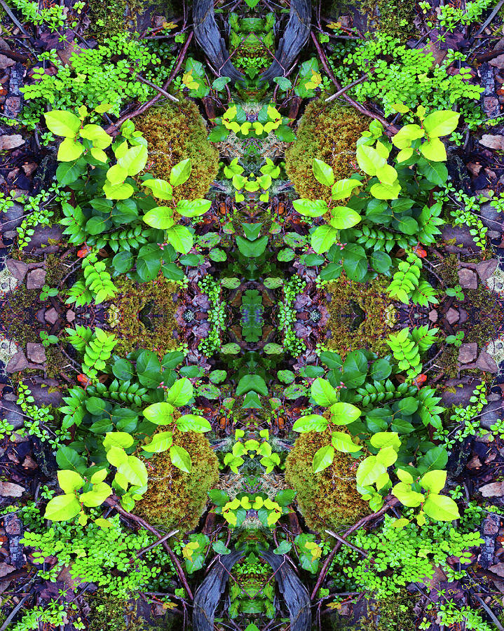 The Forest Floorist #2 Double Mirrored Vertically Flipped with Extra Color Saturation Photograph by Ben Upham III