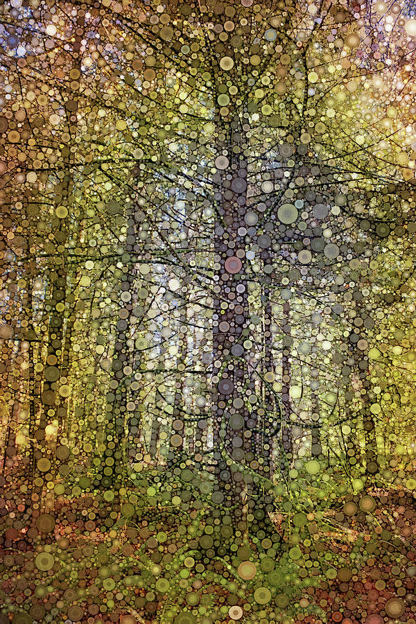 The Forest in Fall Digital Art by Peggy Collins
